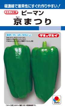 【タキイ種苗】 ピーマン 京まつり 22粒 野菜タネ 種 家庭菜園